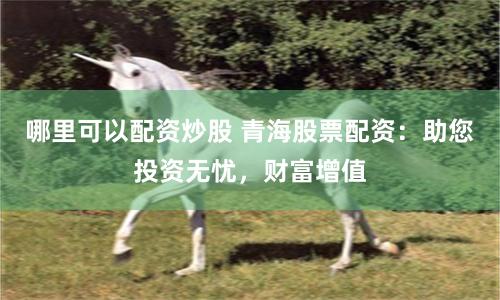 哪里可以配资炒股 青海股票配资：助您投资无忧，财富增值